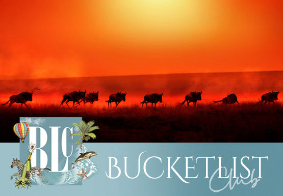BLC - How to join our Club blc-become-a-club-member