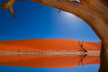 super-nature-safari